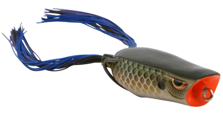 Spro Bronzeye Popper 60
