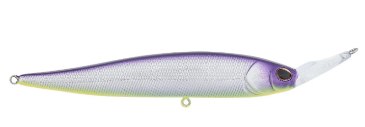 Berkely Krej 100
