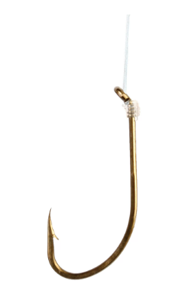 Eagle Claw Snell Hook Bronze