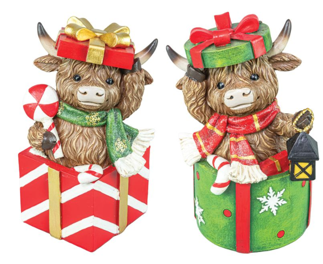 Highland Cow Gift Box
