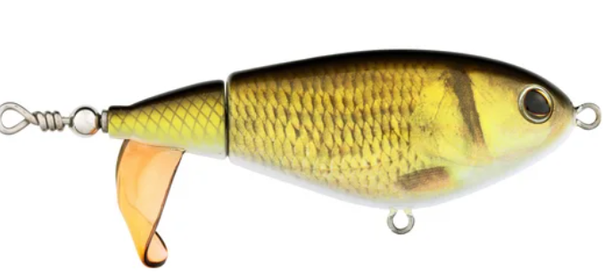 Berkley Choppo