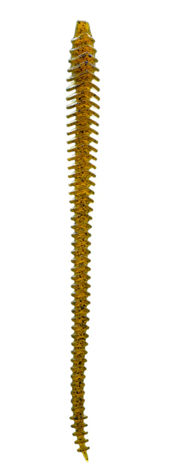 6th Sense Boosa 6.5 Shakey Worm