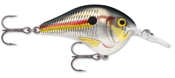 Rapala DT 04 Crankbait
