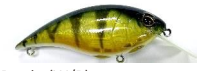 Berkley Shallow Money Badger 4