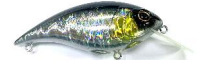 Berkley Shallow Money Badger 4