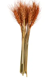 Mud Pie Small Wheat Bundle