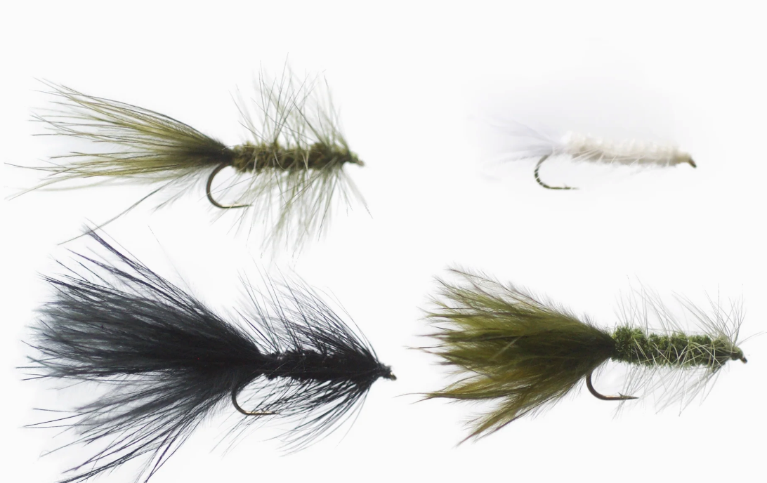 Cortland Wooly Bugger Assortment - 4 Pack