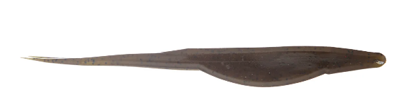 Zoom Magnum Super Fluke 7"
