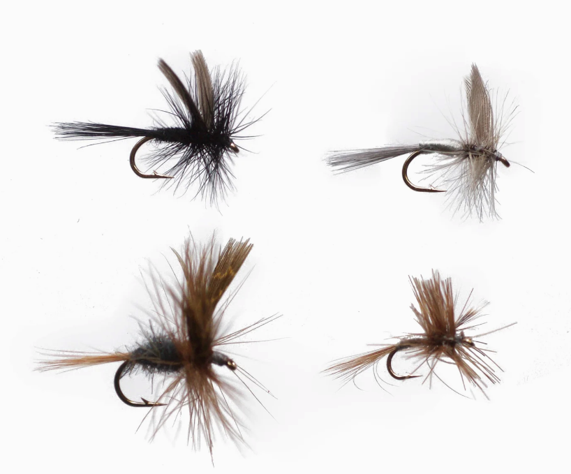 Cortland Guide Assortment - 4 Pack