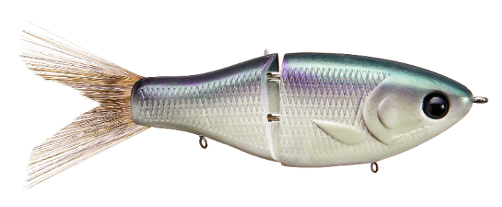 Clutch Eco Glide Bait 6.25"