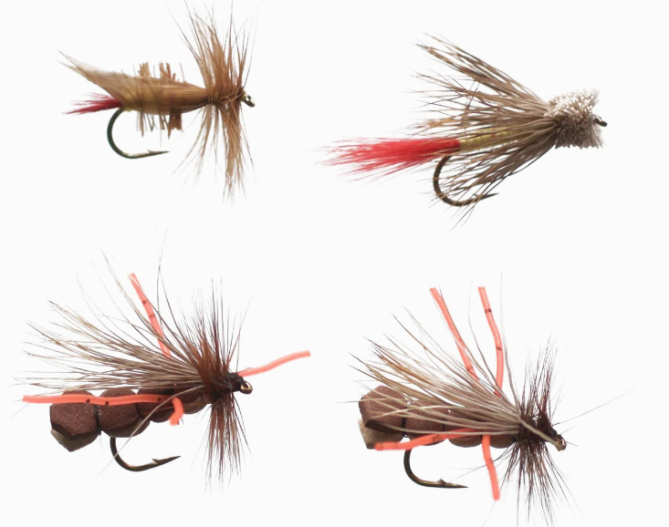 Cortland Hopper Pack Assortment - 4 Pack