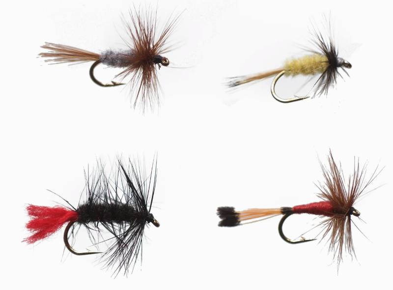 Cortland Dry Fly Assortment I I - 4 Pack