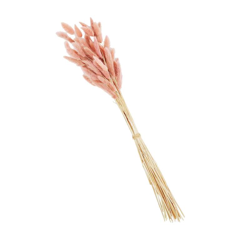 Pink Preserved Bunny Tail Stem