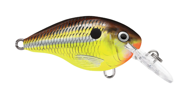 Rapala DT 04 Crankbait