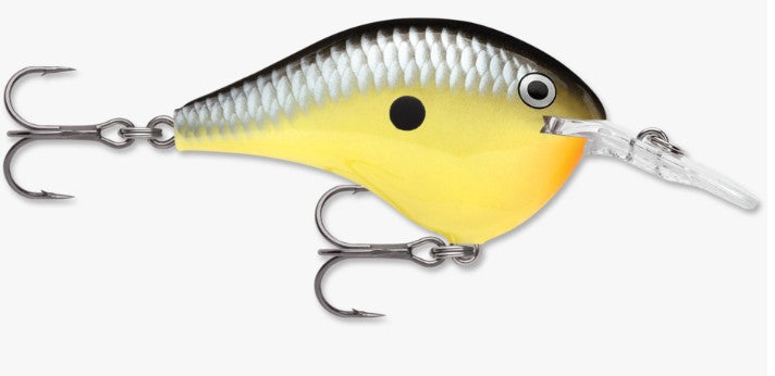 Rapala DT 04 Crankbait