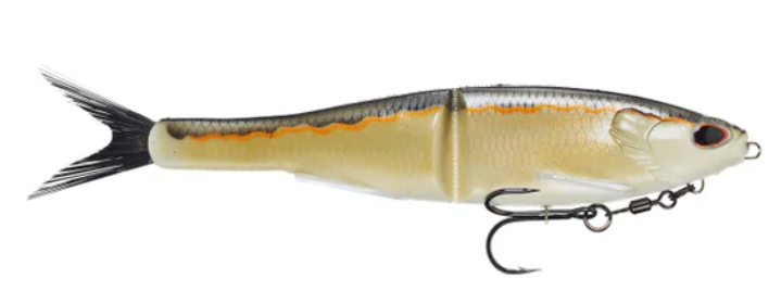 Berkley Nessie
