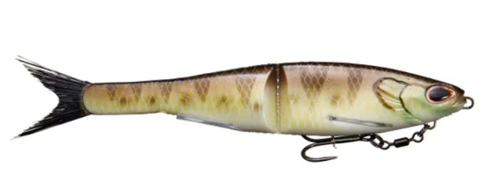 Berkley Nessie