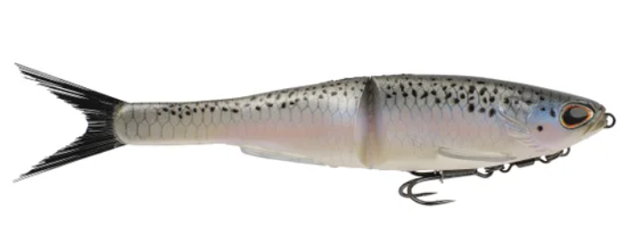 Berkley Nessie