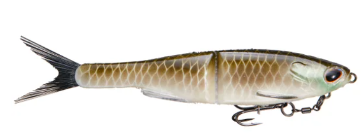 Berkley Nessie