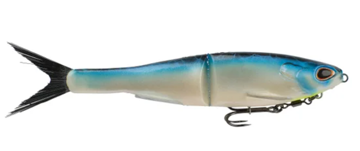 Berkley Nessie