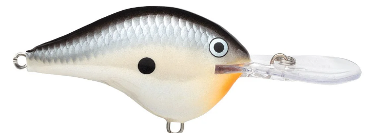 Rapala DT 10 Crankbait