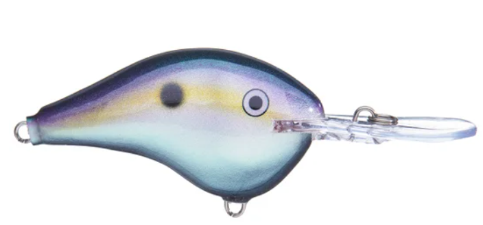 Rapala DT 10 Crankbait