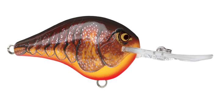 Rapala DT 10 Crankbait