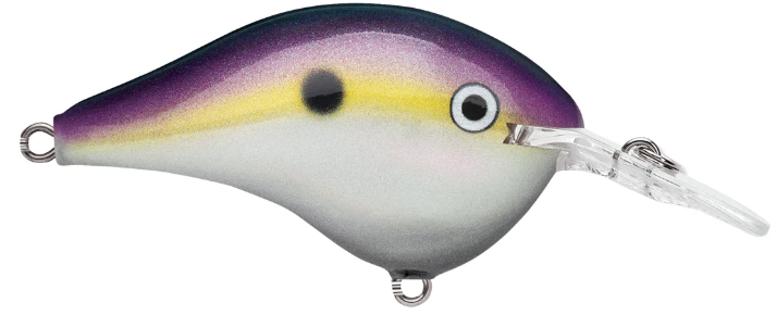 Rapala DT 06 Crankbait