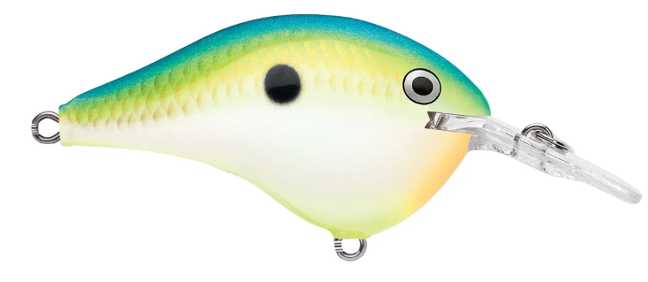 Rapala DT 06 Crankbait