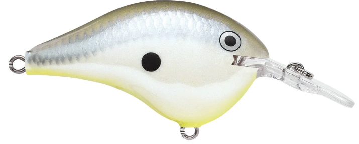 Rapala DT 06 Crankbait