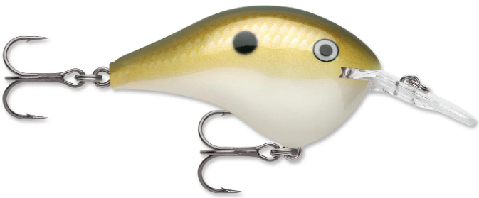 Rapala DT 06 Crankbait