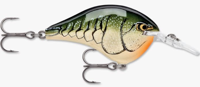 Rapala DT 06 Crankbait