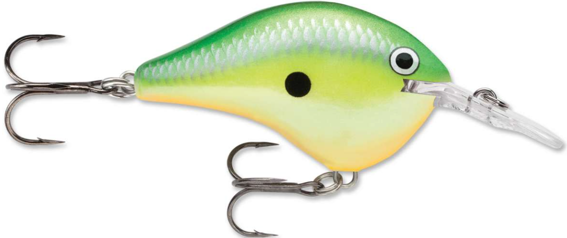 Rapala DT 06 Crankbait