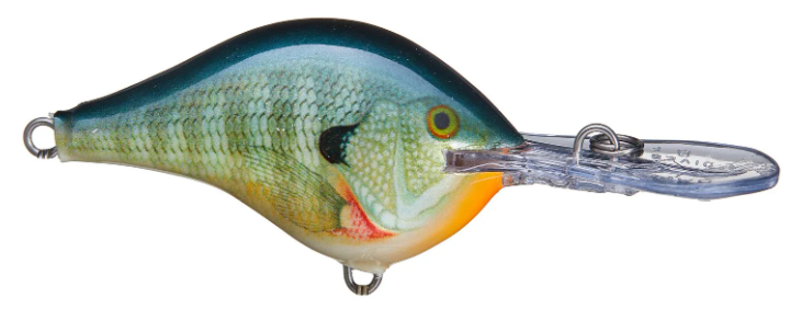 Rapala DT 08 Crankbait