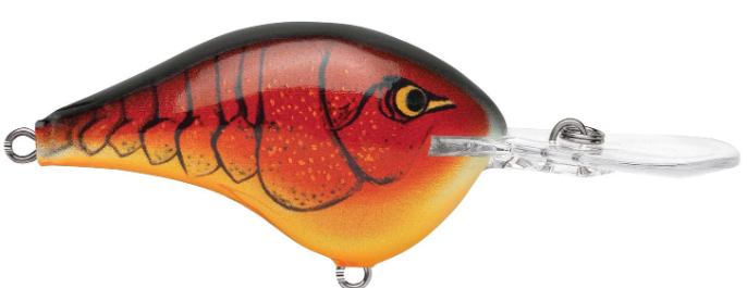 Rapala DT 08 Crankbait