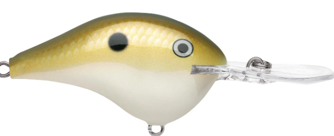 Rapala DT 08 Crankbait