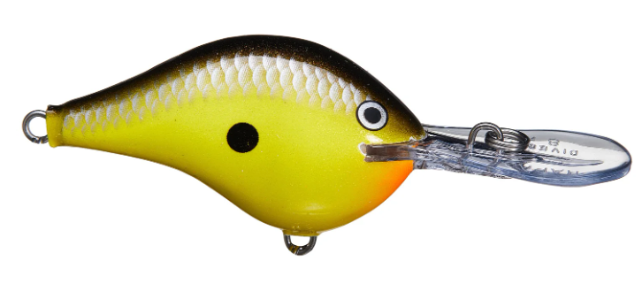 Rapala DT 08 Crankbait