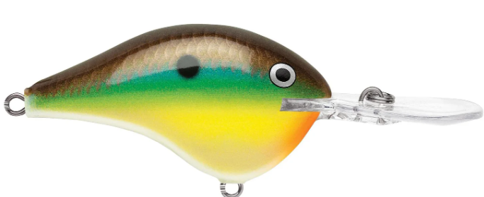 Rapala DT 10 Crankbait