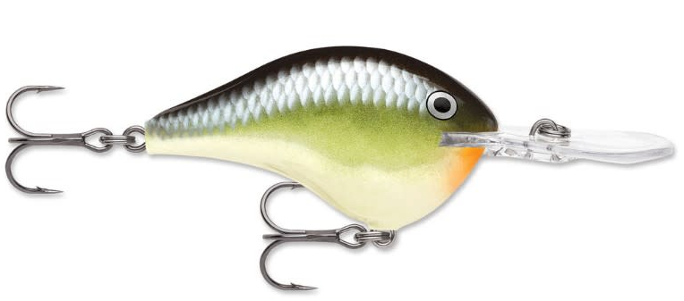 Rapala DT 10 Crankbait