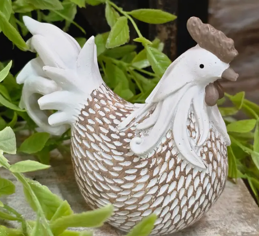 Small Rooster