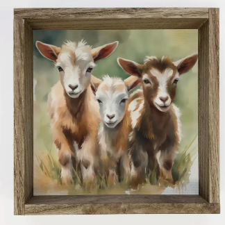 Three Baby Goats - Watercolor Painting on Canvas Framed