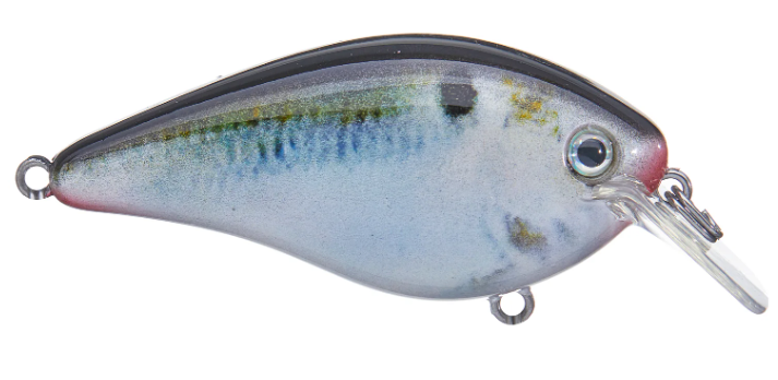 Strike King KVD 1.5 Square Bill Silent