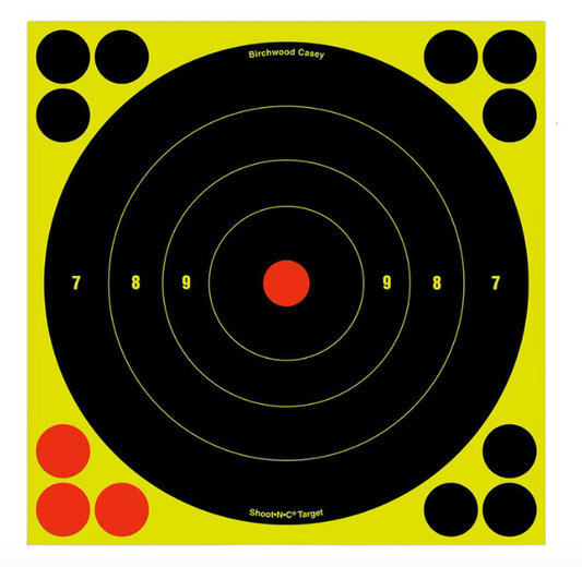 Birch Casey 8" Bullseye Target