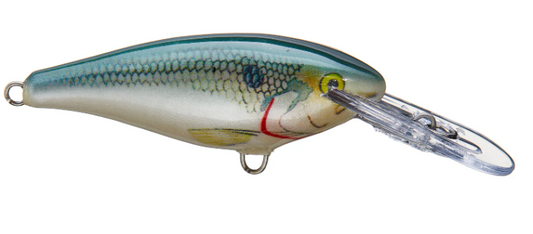 Rapala Shallow Shad Rap SSR5 Shad