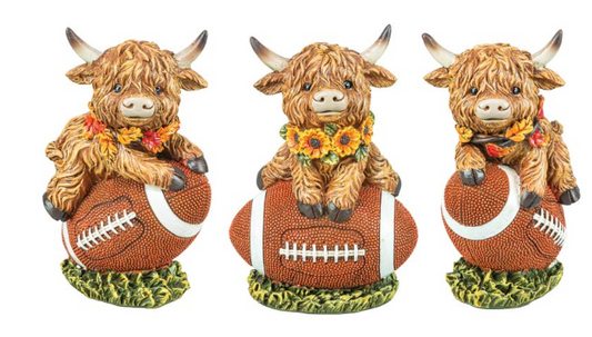 Football Mounted Highland Cow