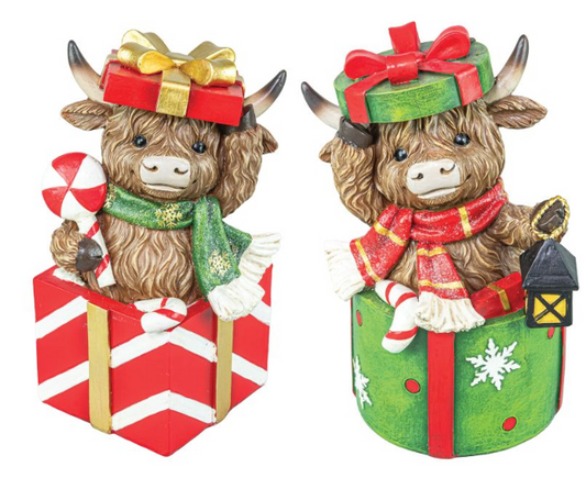 Highland Cow Gift Box