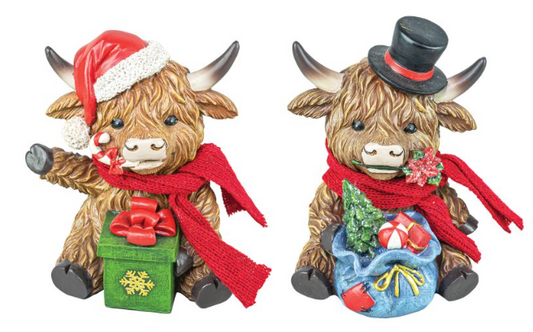 Highland Cow with Gifts