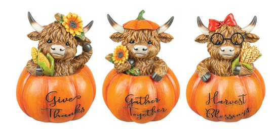 Highland Cow in Pumpkin 3 Asst