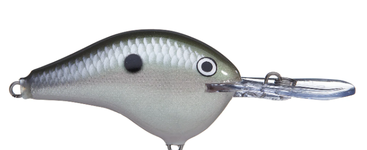 Rapala DT 10 Crankbait