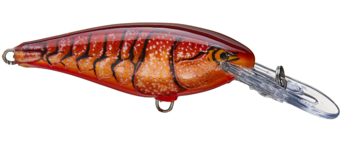 Rapala Shad Rap